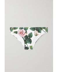 Dolce & Gabbana Bikini-höschen Mit Blumenprint - Weiß
