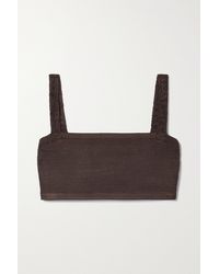 Calle Del Mar Cropped Stretch-knit Bra Top - Brown