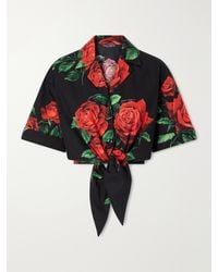 Dolce & Gabbana - Tie-Detailed Floral-Printed Cotton-Poplin Cropped Shirt - Lyst