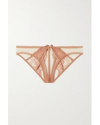 Shop Agent Provocateur from $18 | Lyst