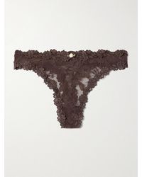 Skims - Stretch Lace Dipped Thong – Espresso – String Aus Stretch-Spitze - Lyst