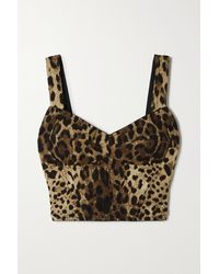 Dolce & Gabbana Diva Leopard-print Silk-blend Charmeuse Bustier Top - Brown