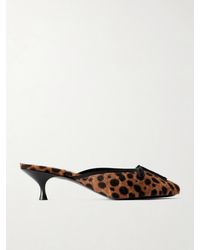 Herbert Levine - 24/7 50 Bow-Detailed Leopard-Print Pony Hair Pumps - Lyst