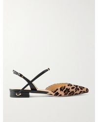 Jennifer Chamandi - Vittorio 20 Leopard-Print Calf Hair And Leather Singback Flats - Lyst
