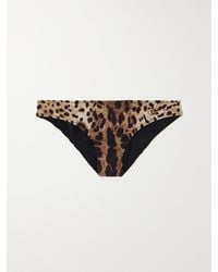 Dolce & Gabbana - Leopard-Print Bikini Briefs - Lyst