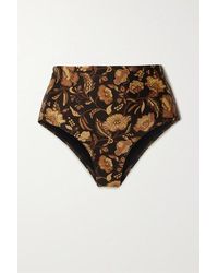 Matteau The Plunge Bikini-oberteil Mit Blumenprint - Braun