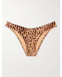 Zimmermann - Cascadian Whipstitched Leopard-Print Bikini Briefs - Lyst
