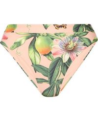 Agua by Agua Bendita Penelope Bedrucktes Bikini-höschen - Grün