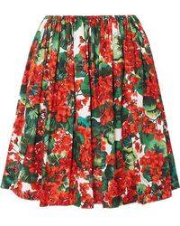 Dolce & Gabbana Baumwollrock Mit Falten Und Blumendruck - Rot