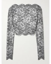 Rabanne - Cropped Scalloped Stretch-Lace Top - Lyst