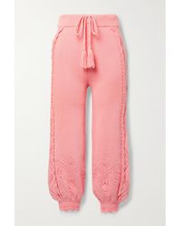 LoveShackFancy Nyla Scalloped Pointelle-knit Cotton Track Pants - Pink