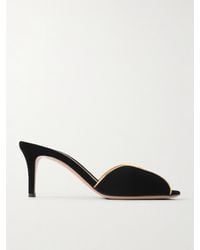 Gianvito Rossi - 70 Leather-Trimmed Velvet Mules - Lyst