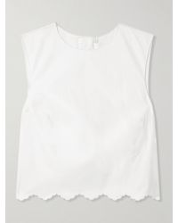 Patou - Cropped Open-Back Scalloped Cotton-Poplin Top - Lyst