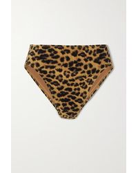 Norma Kamali Bikini-höschen Mit Leopardenprint - Braun