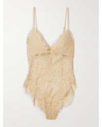 Zimmermann - Illustration Velvet-Trimmed Lace Bodysuit - Lyst