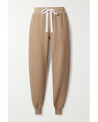 The Range Ripple Ottoman Ribbed Stretch-cotton Jersey Track Trousers - Brown