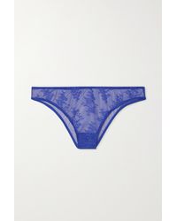 Journelle Romy Lace And Tulle Briefs - Purple