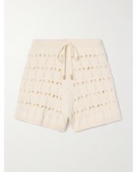 Zimmermann - Rhiannon Shorts Aus Pointelle-Strick Mit Cut-Outs - Lyst
