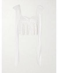 Chloé - Cropped Bow-Detailed Broderie Anglaise Cotton Top - Lyst