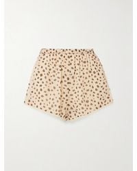 Posse - Priscilla Lace-Trimmed Cheetah-Print Silk-Georgette Shorts - Lyst