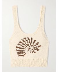 Alix Of Bohemia - Ansel Cropped Intarsia-Knit Cotton Tank - Lyst