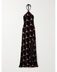 Cara Cara - June Lace-Trimmed Floral-Print Velvet Halterneck Maxi Dress - Lyst