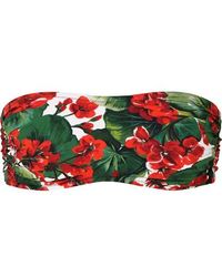 Dolce & Gabbana Portofino Bandeau-bikini-oberteil Mit Blumenprint - Rot
