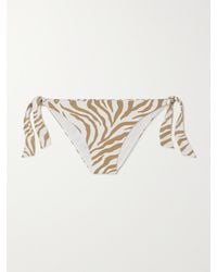 Max Mara - Beachwear Silvana Zebra-Print Bikini Briefs - Lyst