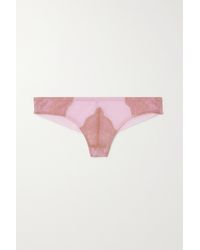 Dora Larsen Nora Lace-paneled Stretch-tulle Briefs - Pink