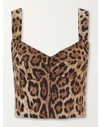 Dolce & Gabbana - Cropped Leopard-Print Stretch-Canvas Bustier Top - Lyst