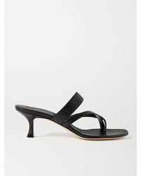 Manolo Blahnik - Sandales En Cuir Susa 50 - Lyst