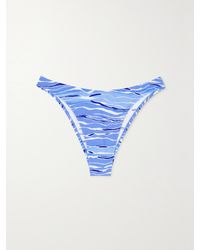 Fisch - Net Sustain Flamands Printed Bikini Briefs - Lyst