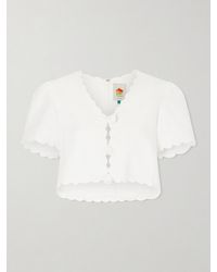 FARM Rio - Cropped Floral-Appliquéd Scalloped Linen Top - Lyst