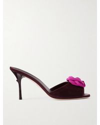 Roger Vivier - Epine Rose 85 Floral-Appliquéd Suede Mules - Lyst