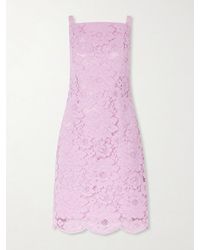 Patou - Floral-Embroidered Cotton-Blend Guipure Lace Midi Dress - Lyst