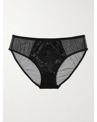 Dolce & Gabbana - Tulle And Lace Briefs - Lyst