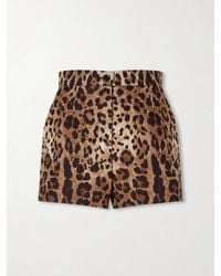 Dolce & Gabbana - Leopard-Print High-Rise Cotton Shorts - Lyst