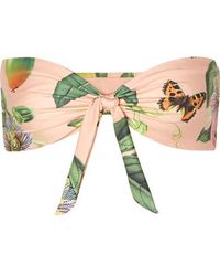 Agua by Agua Bendita Veleriana Bedrucktes Bandeau-bikini-oberteil Zum Binden - Mehrfarbig