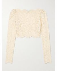 Rabanne - Scalloped Cropped Lace Top - Lyst