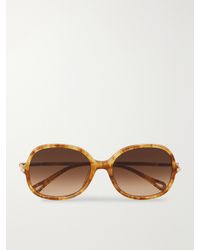 Chloé - Rounded-Frame Acetate Sunglasses - Lyst