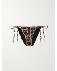 Dolce & Gabbana - Leopard-Print Bikini Briefs - Lyst