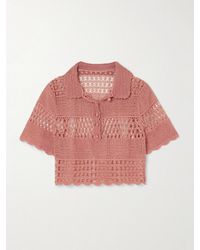 Zimmermann - Wanderlust Sun Crocheted Cotton-Blend Top - Lyst