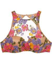 I.D Sarrieri Wonderland Delights Bügel-bh Aus Besticktem Stretch-tüll Und Satin - Mehrfarbig