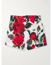Dolce & Gabbana - Shorts Aus Baumwollpopeline Mit Blumenprint - Lyst