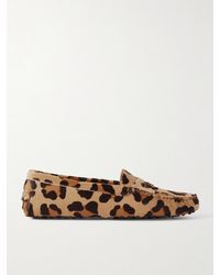 Tod's - Gommino Leopard-Print Calf Hair Loafers - Lyst