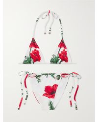 Dolce & Gabbana - Floral-Print Triangle Halterneck Bikini - Lyst