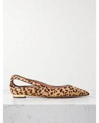 Aquazzura - Sheeva Cutout Leopard-Print Calf Hair Point-Toe Flats - Lyst