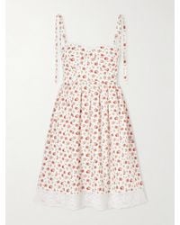 Dolce & Gabbana - Lace-Trimmed Floral-Print Cotton-Blend Poplin Bustier Mini Dress - Lyst