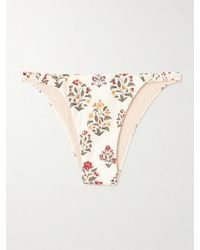 Agua Bendita - Vera Andes Ruffled Floral-Print Stretch Recycled Bikini Briefs - Lyst