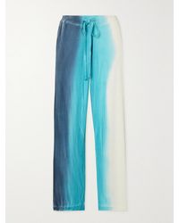 The Elder Statesman - Scape Ombré Organic Cotton And Cashmere-Blend Straight-Leg Track Pants - Lyst